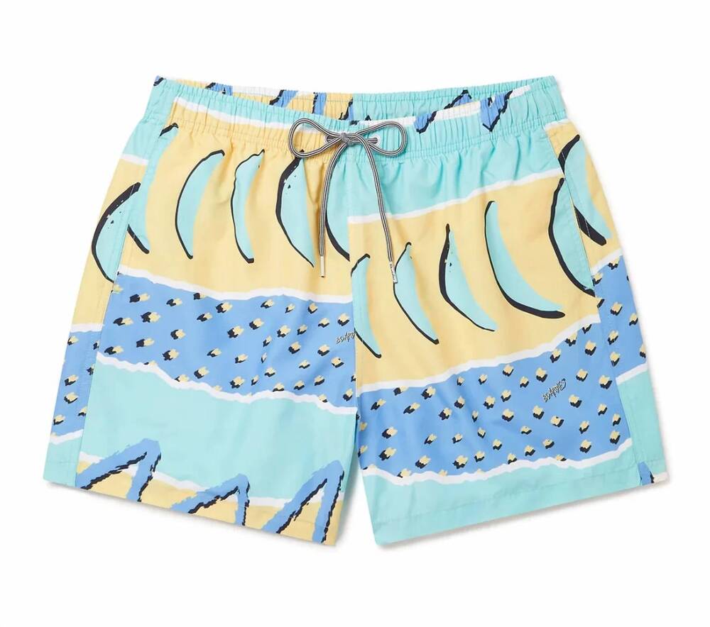 NEW BOARDIES APPAREL kids' fresh prince kids swim shorts in mint